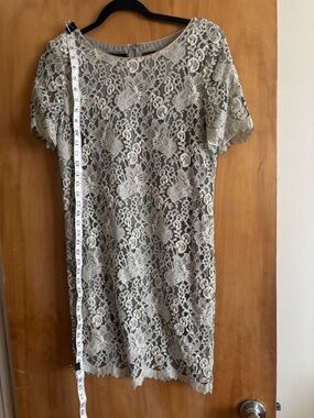 Liz Claiborne lace Overlay Shift Dress - sage color (10).
